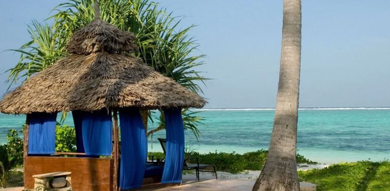 Safari and Beach in tanzania3