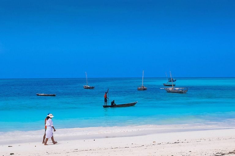 Safari and Beach in tanzania5
