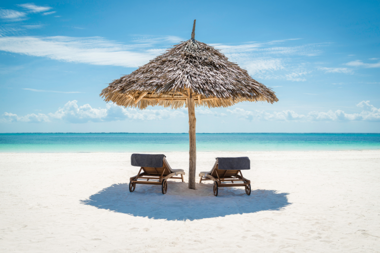 Safari and Beach in tanzania6