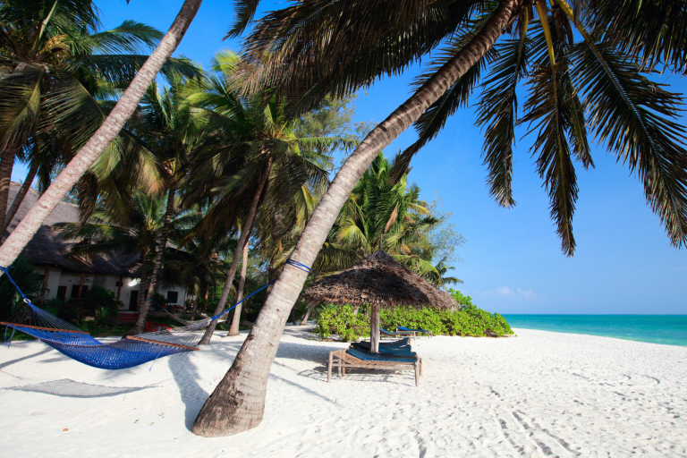 Safari and Beach in tanzania7