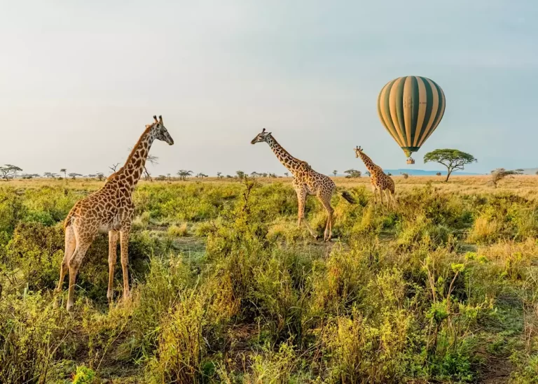 balloon safari in tanzania5
