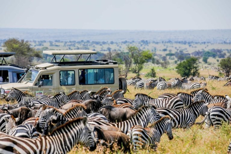 group joining safari tanzania2