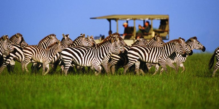 multi-country safari in tanzania1