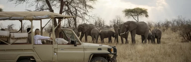 multi-country safari in tanzania3