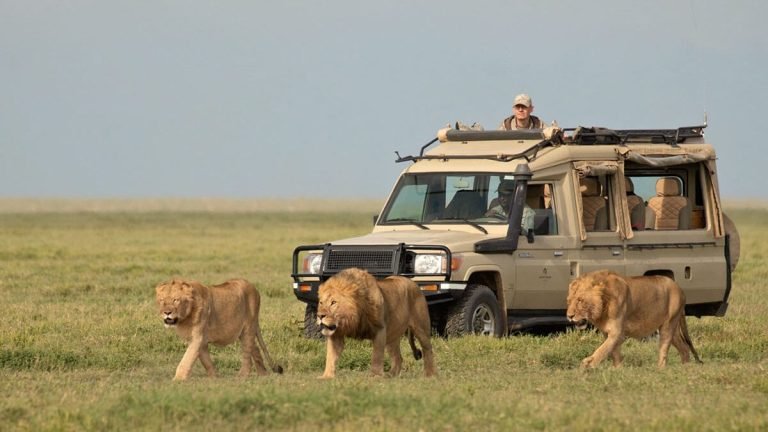 multi-country safari in tanzania5
