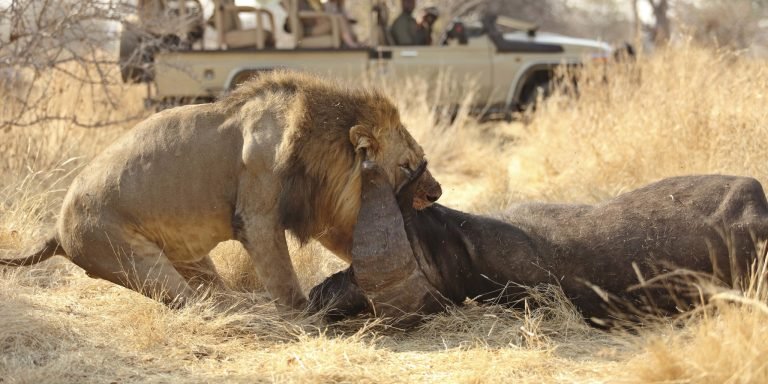multi-country safari in tanzania8