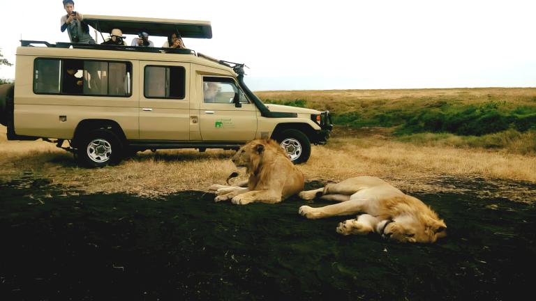 photographic safari in tanzania5