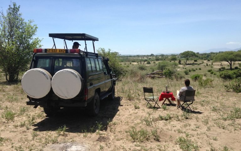self drive safari in tanzania2