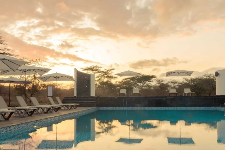 4V8A5770-1-scaled (1)