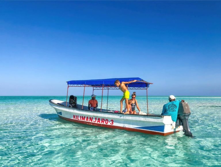 Boat tours in tanzania7