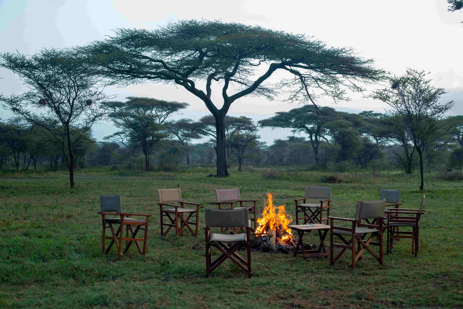 Enkutoto-5Diii-20-scaled