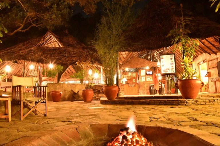 Fig-Tree-New-resized-images-6-scaled