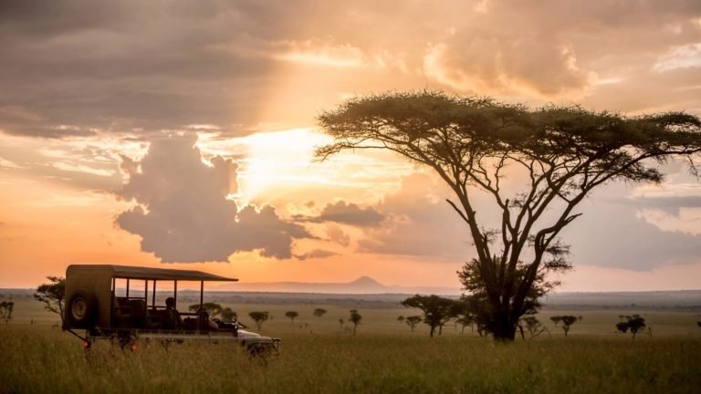 Game-Drives-in-Tanzania