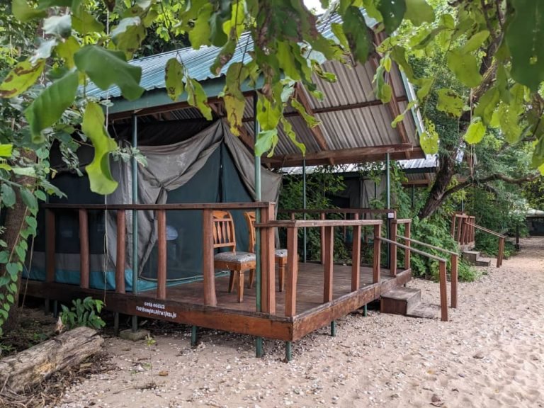 Kasekela Luxury Campsite3