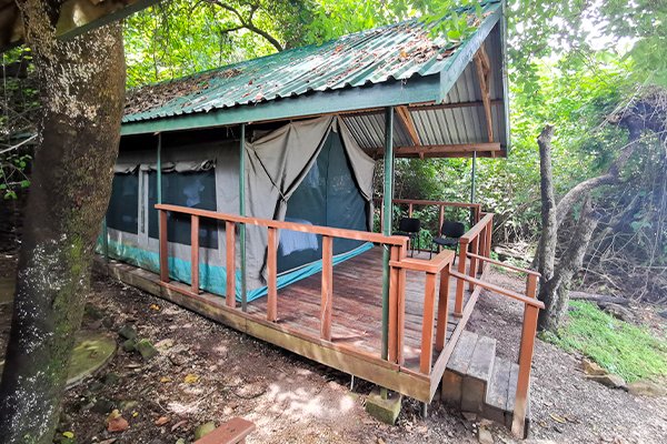 Kasekela Luxury Campsite4