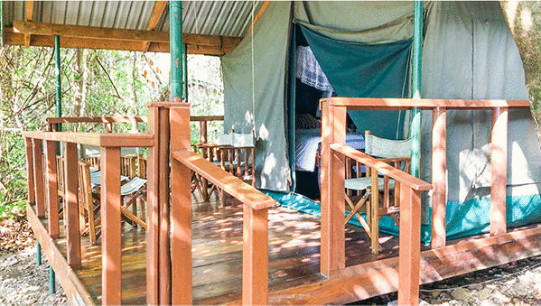 Kasekela Luxury Campsite5