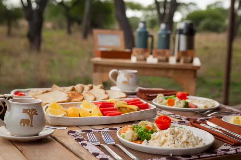 Lake Burunge Baobab Tented Lodge 7