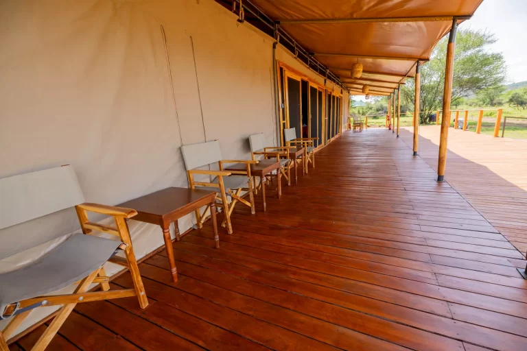 Safari Haven Serengeti Camp 4
