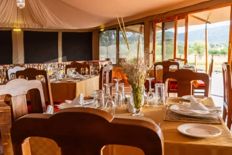 Safari Haven Serengeti Camp 5