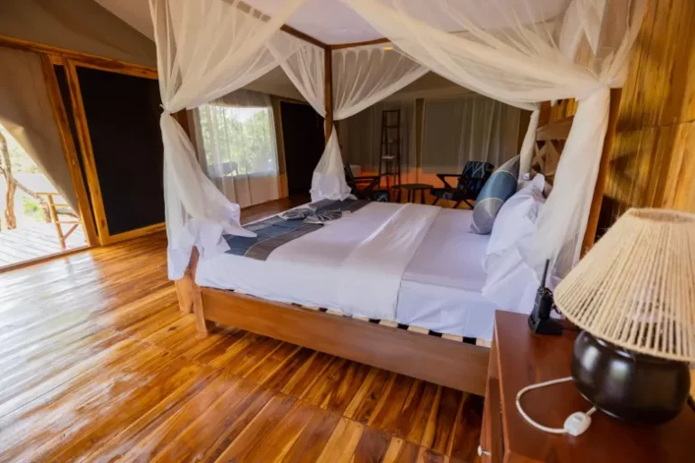 Safari Haven Serengeti Camp 7