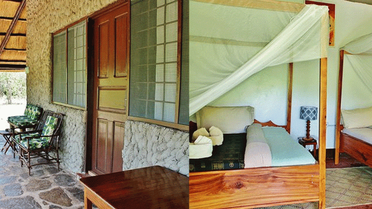 camp bastian mikumi4