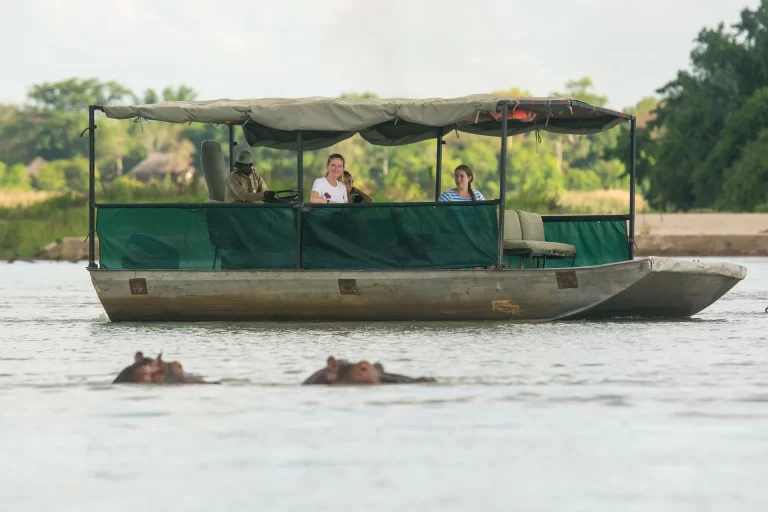 close-up-view-of-boat-with-hippos-during-a-boat-safari-on-rufiji-river