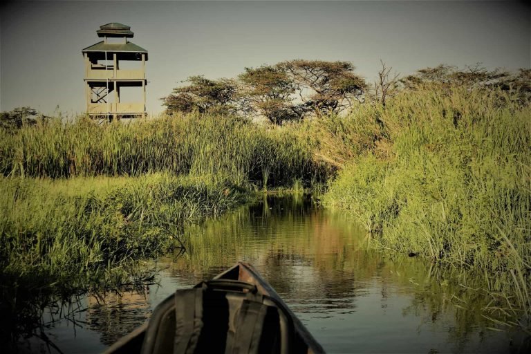 little-okavango-camp-tower
