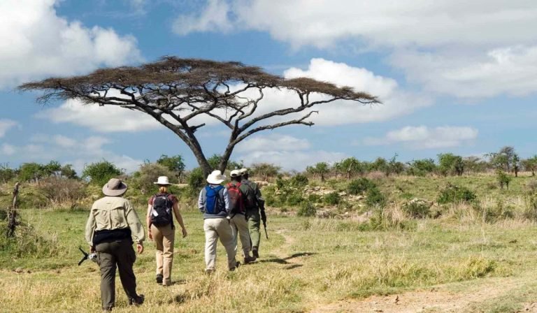 nature walks in tanzania1
