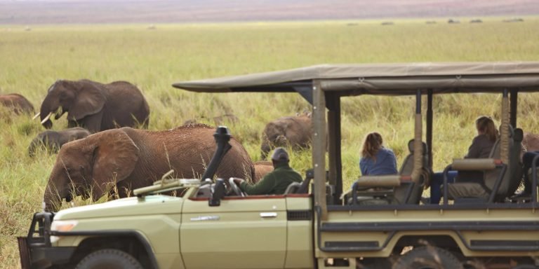 olivers-camp-elephants-game-drive
