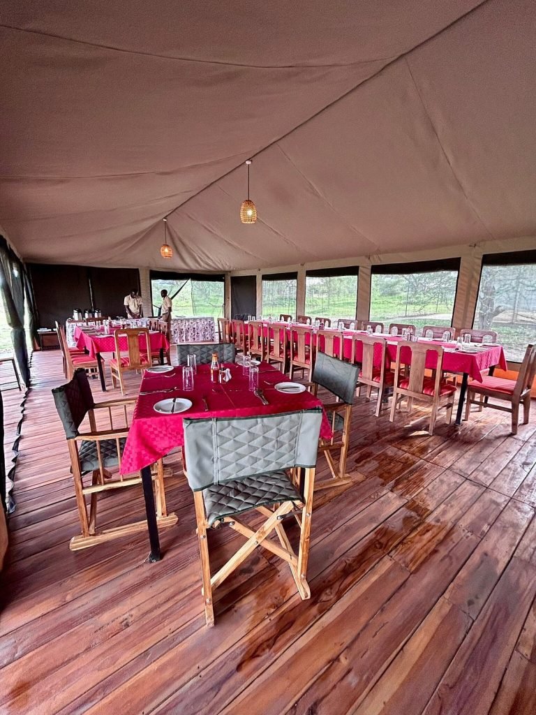 safari haven migration camp