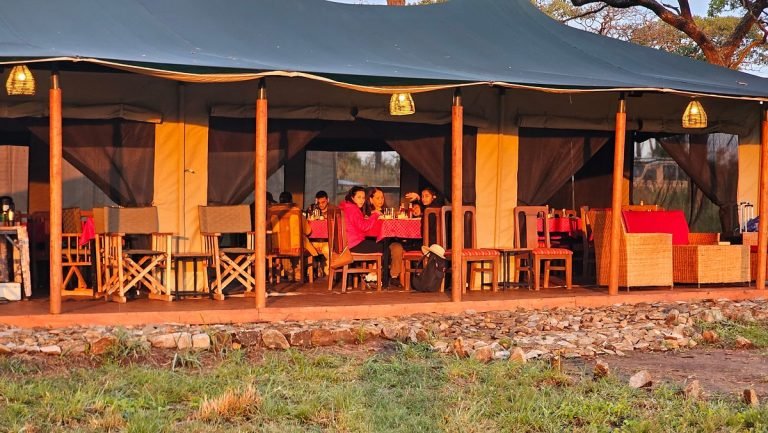 safari haven migration camp2