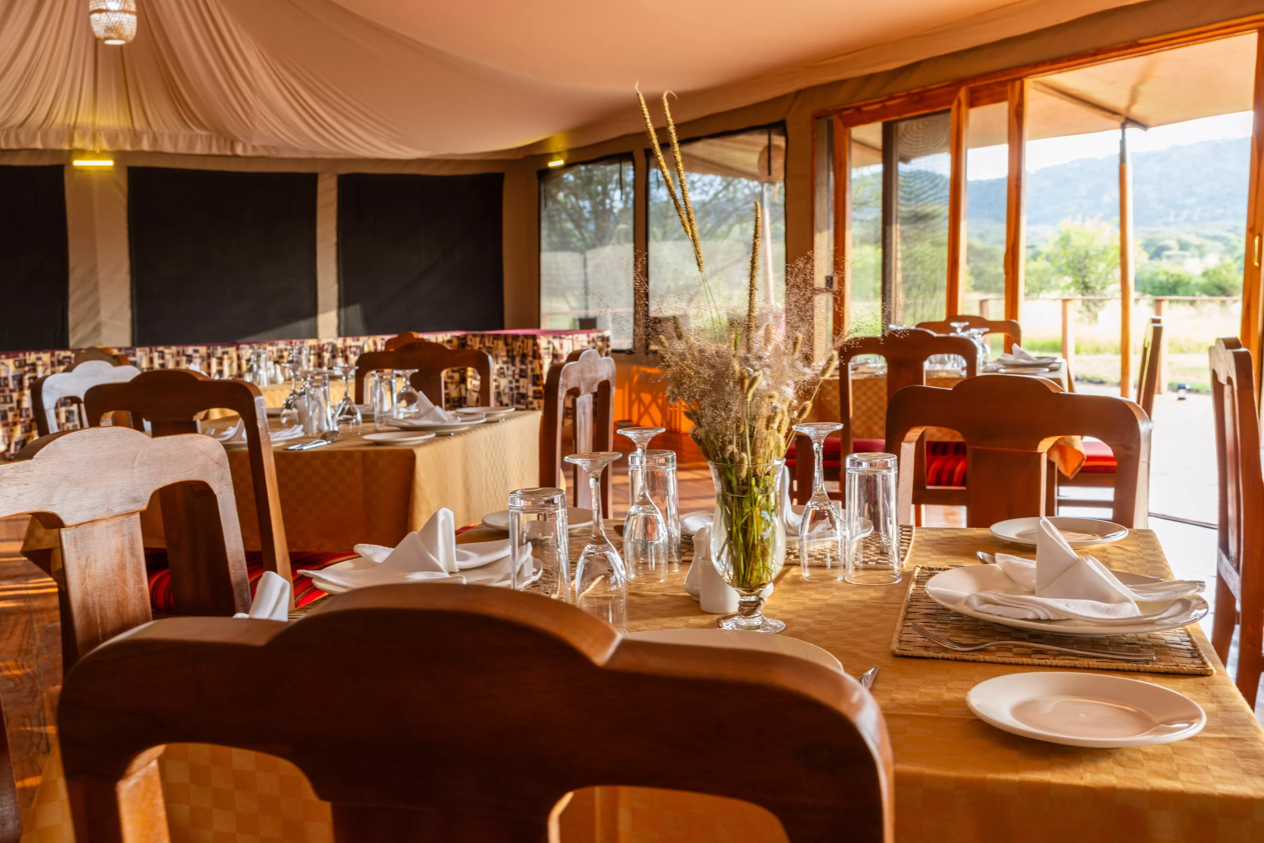 safari haven migration camp3