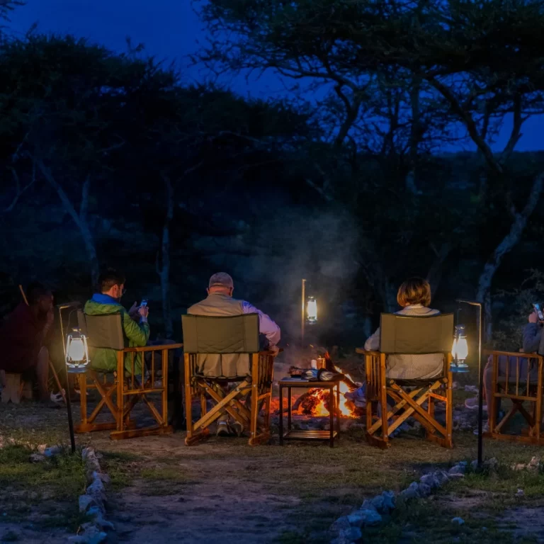 safari haven migration camp6